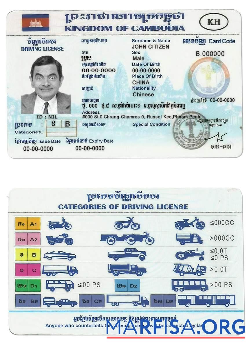 Downloadable Cambodia driving license template